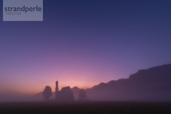 Kapelle St. Coloman zur blauen Stunde im Nebel  Füssen  Schwaben  Bayern  Deutschland  Europa