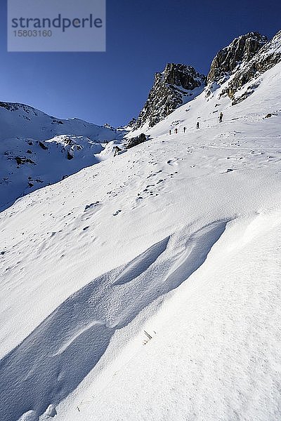 Skitourengeher im Winter  Aufstieg zur Geierspitze  Wattentaler Lizum  Tuxer Alpen  Tirol  Österreich  Europa