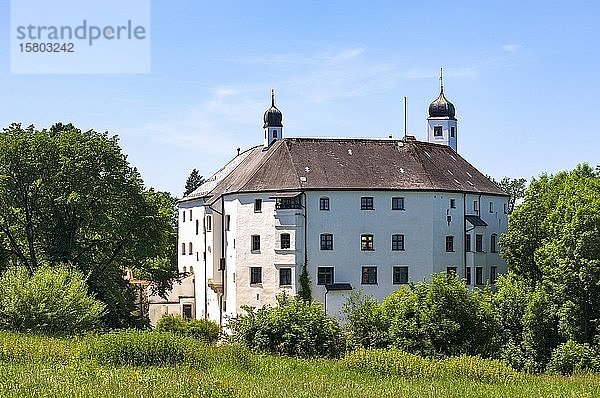 Schloss Amerang  Amerang  Chiemgau  Bayern  Deutschland  Europa