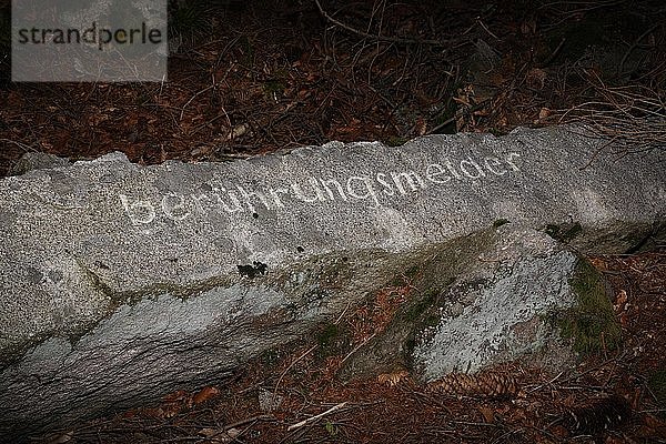 Granit-Kunstwerk auf dem Jugendsteig in Finsterau  Bayerischer Wald  Niederbayern  Bayern  Deutschland  Europa