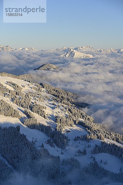 Blick von der Hohen Salve mit Kitzbühler Horn  Bergpanorama im Winter  Berggipfel ragen aus der Wolkendecke  Skigebiet SkiWelt Wilder Kaiser Brixental  Brixen im Thale  Tirol  Österreich  Europa