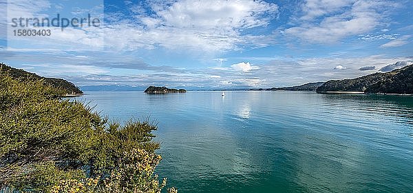 Blick auf die Stillwell Bay vom Abel Tasman Coastal Track  Abel Tasman National Park  Tasman  Südinsel  Neuseeland  Ozeanien