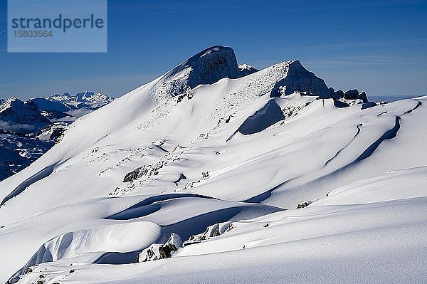 Gipfel des Torecks mit Schneewächten und blauem Himmel  Ritzlern  Kleinwalsertal  Vorarlberg  Österreich  Europa