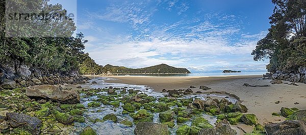 Moosbewachsene Steine am Strand der Stillwell Bay  Lesson Creek  Abel Tasman Coastal Track  Abel Tasman National Park  Tasman  Südinsel  Neuseeland  Ozeanien