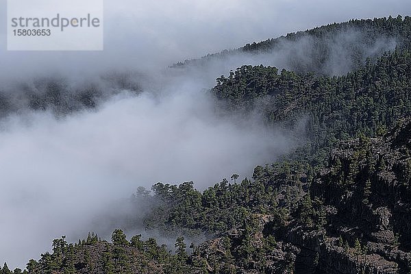 Blick auf die Caldera de Taburiente vom Roque de los Muchachos  Nebel  Nationalpark Caldera de Taburiente  Kanarische Inseln  La Palma  Spanien  Europa