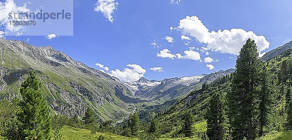 Blick auf das Obersulzbachtal mit dem großen Geiger im HG  NP Hohe Tauern  Salzburg  Österreich  Europa