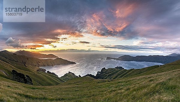 Blick auf Wiesen und felsige Küste bei Sonnenuntergang  French Pass  Marlborough-Region  Marlborough Sounds  Picton  Südinsel  Neuseeland  Ozeanien