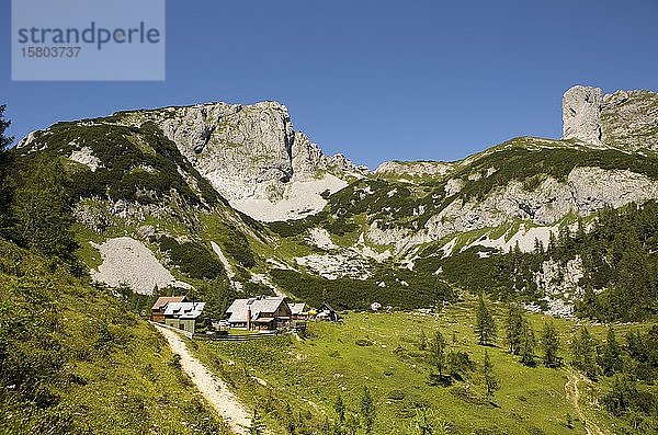 Totes Gebirge  Almhütten auf der Tauplitz Alm  Tauplitz  Salzkammergut  Steiermark  Österreich  Europa