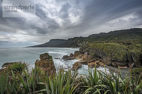Küstenlandschaft mit Sandsteinfelsen  Pancake Rocks  Paparoa National Park  Punakaiki  Westküste  Südinsel  Neuseeland  Ozeanien