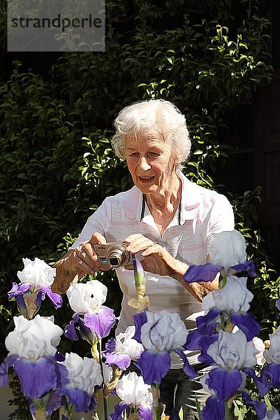 Alte Frau genießt den Garten  Niederbayern  Bayern  Deutschland  Europa