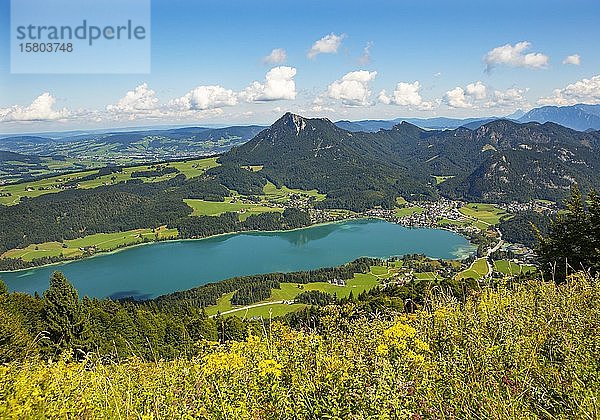 Fuschlsee  Blick vom Filbling auf Fuschl am See  Salzkammergut  Bundesland Salzburg  Österreich  Europa