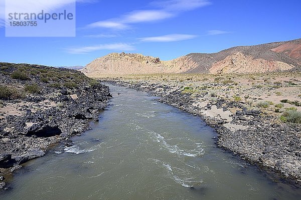 Karge Landschaft am Rio Grande  bei Malargüe  Provinz Mendoza  Argentinien  Südamerika