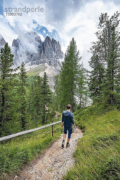 Junger Mann  Wanderer auf einem Wanderweg im Wald  in den hinteren Bergspitzen der Geislergruppe  Parco Naturale Puez Odle  Südtirol  Italien  Europa