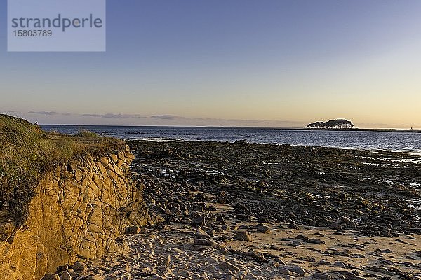 Küste im Abendlicht mit Pointe er Hourel im Hintergrund  Locmariaquer  Département Morbihan  Frankreich  Europa