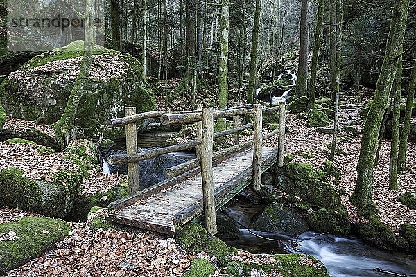 Holzbrücke über den Gertelbach  Gertelbachfall  Gertelbachschlucht  Bühl  Bühlertal  Nordschwarzwald  Schwarzwald  Baden-Württemberg  Deutschland  Europa