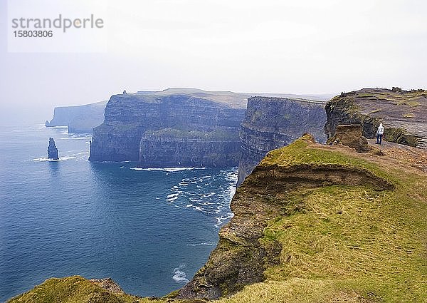 Cliffs of Moher  Südwestküste  Grafschaft Clare  Republik Irland