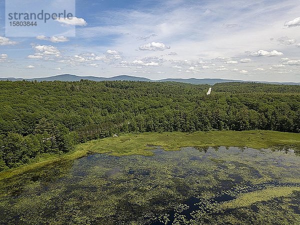Luftaufnahme von Mud Pond  Dublin  New Hampshire  USA  Nordamerika
