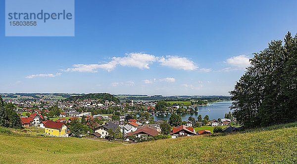 Mattsee  Flachgau  Bundesland Salzburg  Österreich  Europa