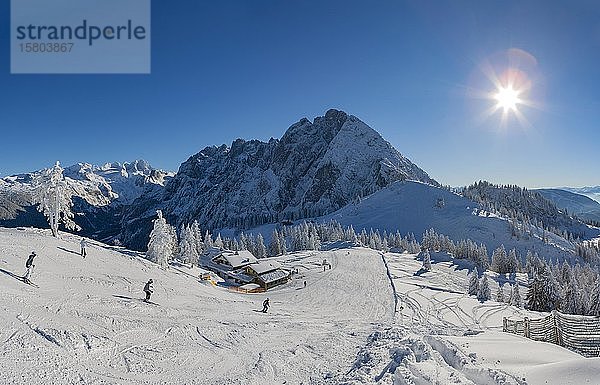 Skigebiet Dachstein West  Zwieselalm  Blick auf den Dachstein und Gosaukamm  Gosau  Salzkammergut  Österreich  Europa