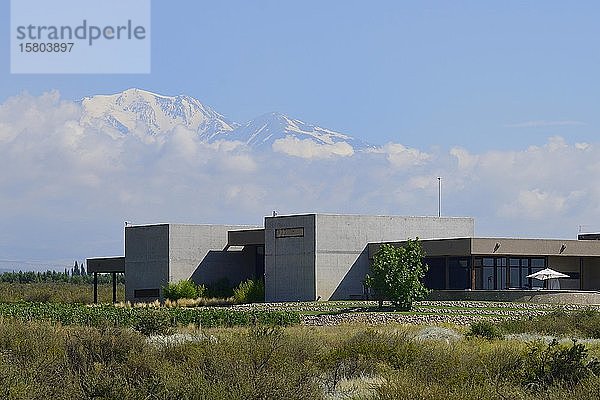 Modernes Weingut  in den hinteren Anden mit Aconcagua  in der Nähe von Mendoza  Provinz Mendoza  Argentinien  Südamerika