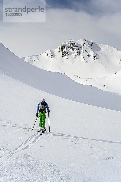 Skitourengeher im Schnee  Mölser Sonnenspitze  Wattentaler Lizum  Tuxer Alpen  Tirol  Österreich  Europa