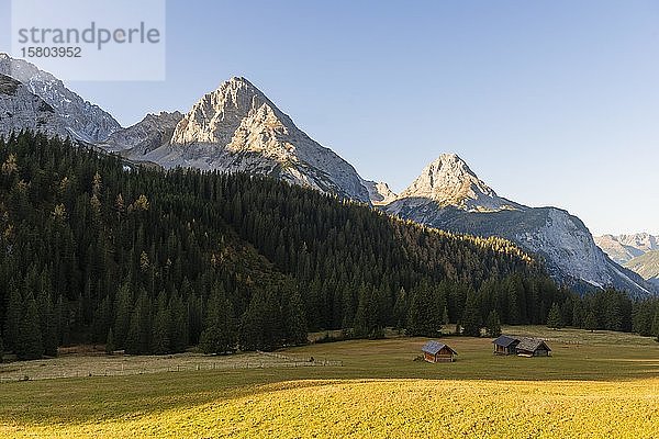 Almhütten auf einer Wiese  Alpenlandschaft  Ehrwalder Alm  rechts Ehrwalder Sonnenspitze  Mitte Vorderer Tajakopf und Hinterer Tajakopf  Ehrwald  Mieminger Kette  Tirol  Österreich  Europa