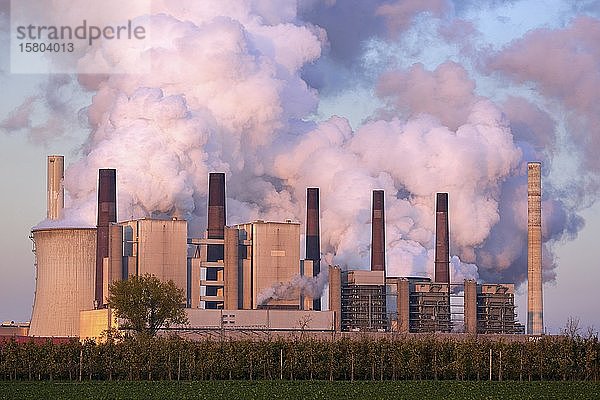 RWE Power AG  Kraftwerk Neurath  Braunkohlenkraftwerk  dampfende Schornsteine  Kohleausstieg  Neurath  Rheinisches Braunkohlerevier  Nordrhein-Westfalen  Deutschland  Europa