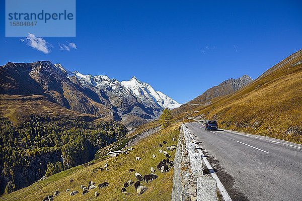 Großglockner Hochalpenstraße  Großglockner mit Schnee  Nationalpark Hohe Tauern  Kärnten  Österreich  Europa