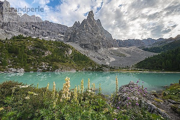 Türkisgrüner Sorapis See  Lago di Sorapis und Berggipfel Dito di Dio  Dolomiten  Belluno  Italien  Europa