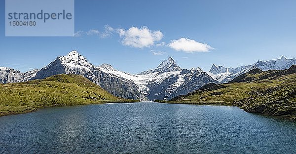 Blick auf Grindelwaldgletscher  Bachalpsee mit Gipfeln von Schreckhorn und Finsteraarhorn  Grindelwald  Berner Oberland  Schweiz  Europa