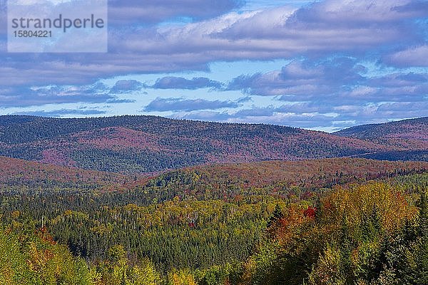 Parc National du Mont-Tremblant in Herbstfarben in der Nähe von St. Donat Laurentians Quebec Kanada