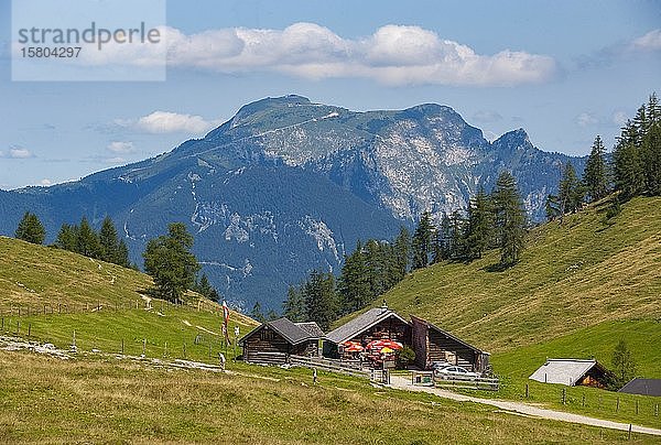 Alpine Landschaft  Erlbachhütte mit Schafberg  Postalm  Salzkammergut  Bundesland Salzburg  Österreich  Europa