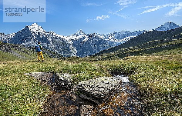 Wanderer am Bach  hinter schneebedecktem Fiescherhorn  Wetterhorn und Schreckhorn  Grindelwald  Bern  Schweiz  Europa