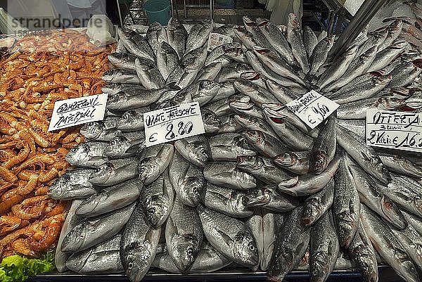 Frische Brassen (Abramis brama)  links Langusten (Palinuridae) auf Eis  Fischmarkt  Venedig  Veneto  Italien  Europa