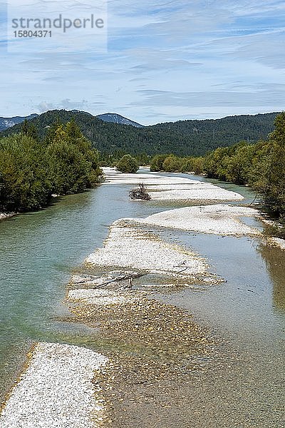 Flusslauf  Isar bei Wallgau  Oberbayern  Bayern  Deutschland  Europa
