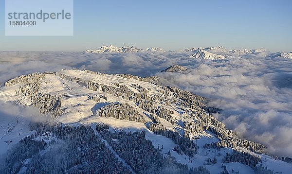 Blick von der Hohen Salve  Kitzbühler Horn und Loferer Steinberge  Bergpanorama im Winter  Berggipfel ragen aus der Wolkendecke  Skigebiet SkiWelt Wilder Kaiser Brixental  Brixen im Thale  Tirol  Österreich  Europa