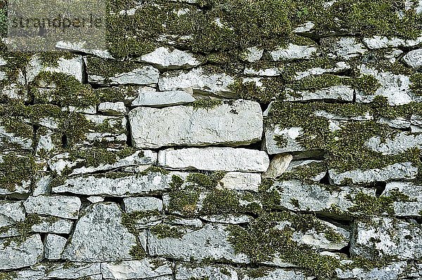 Trockenmauerwerk  bemooste Wand aus Natursteinen  Festung Wülzburg  Weißenburg in Bayern  Altmühltal  Mittelfranken  Franken  Bayern  Deutschland  Europa