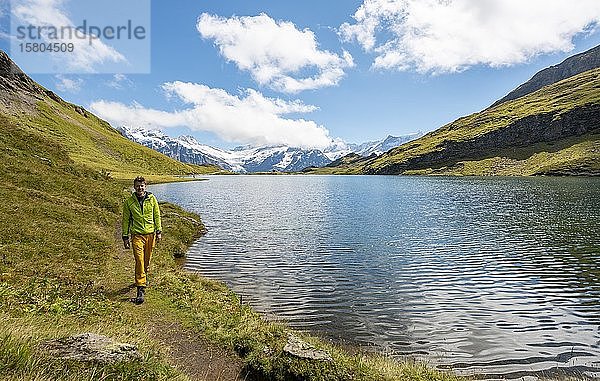 Wanderer auf den Gipfeln von Bachalpsee  Schreckhorn und Finsteraarhorn  Grindelwald  Berner Oberland  Schweiz  Europa