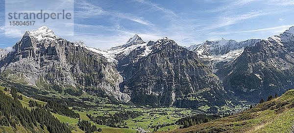 Blick auf das schneebedeckte Fiescherhorn und Wetterhorn  Grindelwald  Bern  Schweiz  Europa