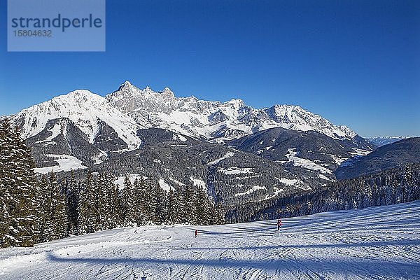Skigebiet Filzmoos mit Dachsteinmassiv  Filzmoos  Pongau  Salzburger Land  Österreich  Europa