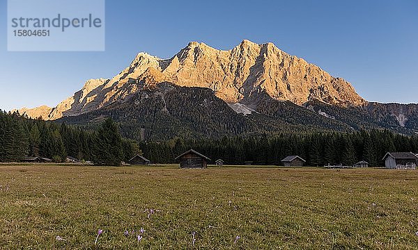 Wiese mit Heustadln  Sonnenuntergang an der Zugspitze  Wettersteingebirge  Werdenfelser Land  Oberbayern  Bayern  Deutschland  Europa