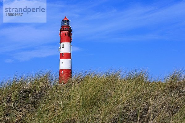 Leuchtturm Amrum auf der Insel Amrum  Nordsee  Nordfriesische Insel  Schleswig-Holstein  Deutschland  Europa