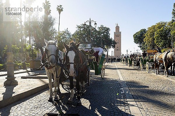 Pferdekutschen warten auf Touristen vor der berühmten Moschee in Marrakesch  Marokko  Afrika