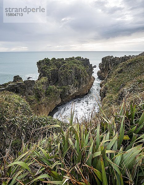 Bucht mit Sandsteinfelsen  Felsformation Pancake Rocks  Paparoa National Park  Punakaiki  Westküste  Südinsel  Neuseeland  Ozeanien