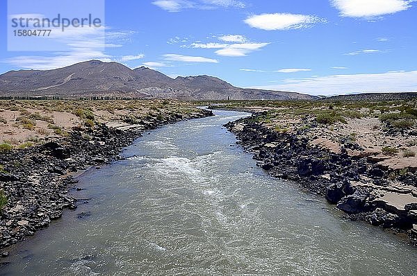 Karge Landschaft am Rio Grande  bei Malargüe  Provinz Mendoza  Argentinien  Südamerika