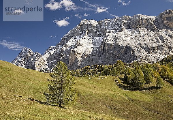 Blick auf den Heiligkreuzkofel von den Armentara-Wiesen  Dolomiten  Südtirol  Italien  Europa