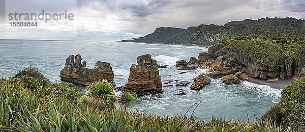 Küstenlandschaft mit Sandsteinfelsen  Pancake Rocks  Paparoa National Park  Punakaiki  Westküste  Südinsel  Neuseeland  Ozeanien