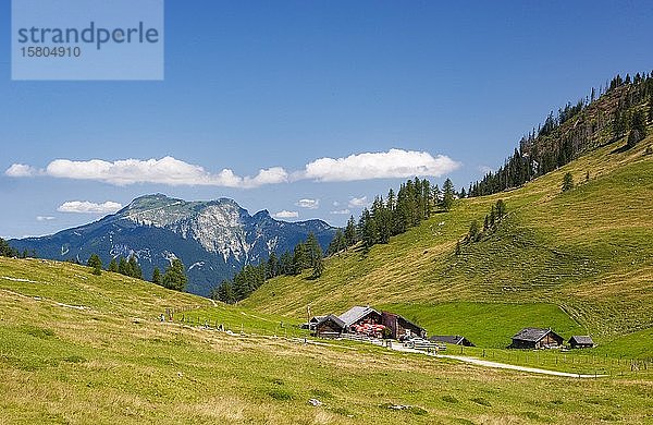 Alpine Landschaft  Erlbachhütte mit Schafberg  Postalm  Salzkammergut  Bundesland Salzburg  Österreich  Europa