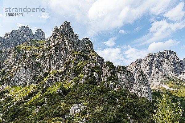 Schroffe Gipfel  Berge  Armkarwand  Große Bischofsmütze  Salzkammergut  Oberösterreich  Österreich  Europa