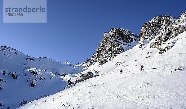 Skitourengeher im Winter  Aufstieg zur Geierspitze  Wattentaler Lizum  Tuxer Alpen  Tirol  Österreich  Europa